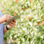 Modern tech with mobile app for working online in eco garden